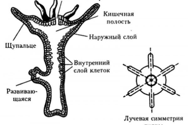 Kra43at