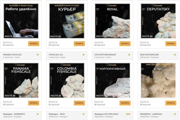 Darknet как войти