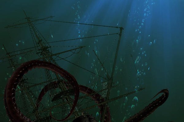 Kraken official