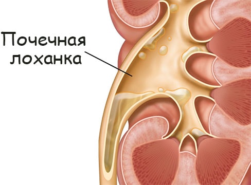 Найти зеркало кракена